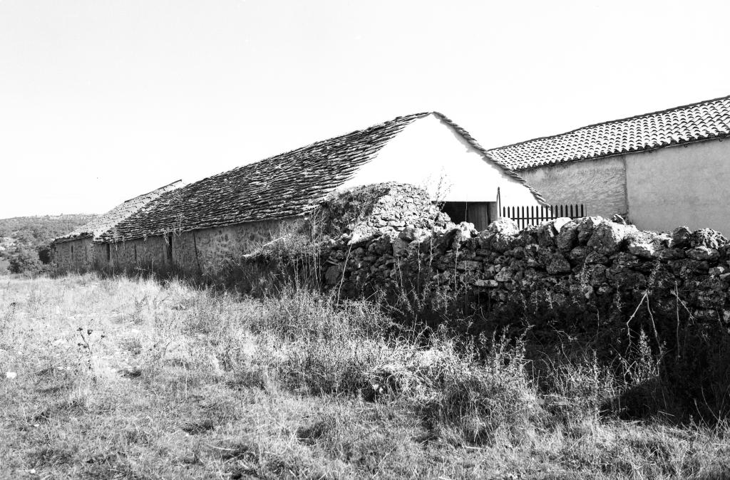 Bergerie