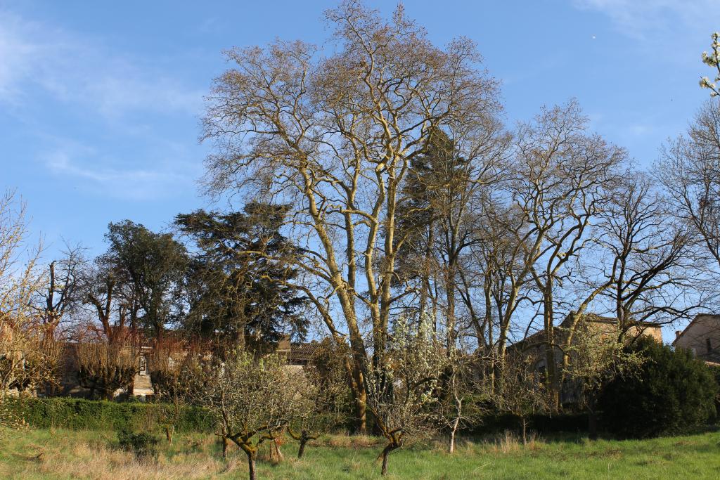 jardin d'agrément