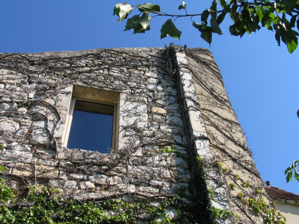 château fort