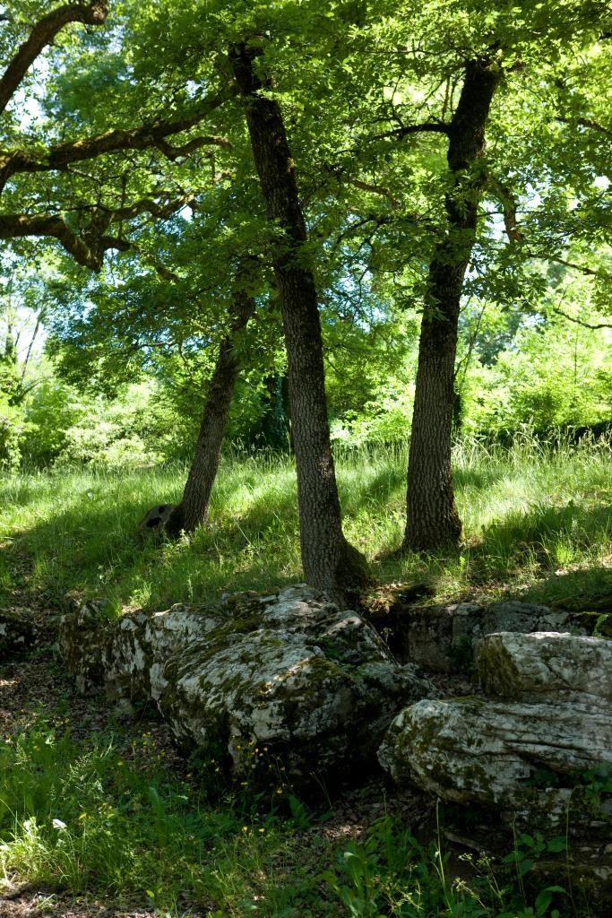 parc dit du Grand Couvent