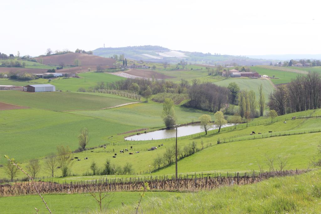 présentation de la commune de Molières