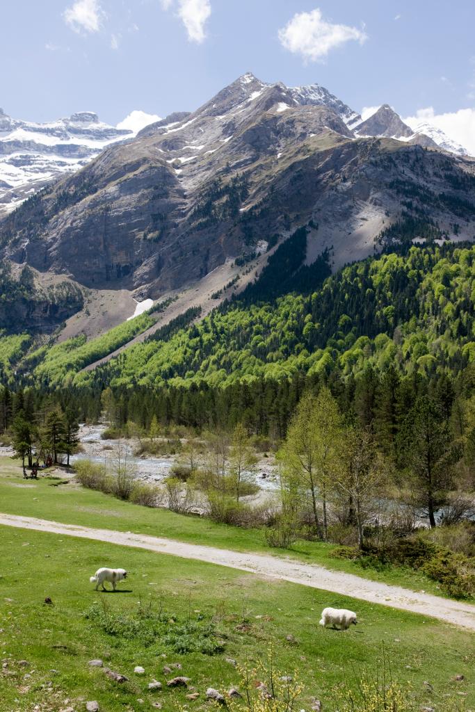 paysage du Cirque de Gavarnie