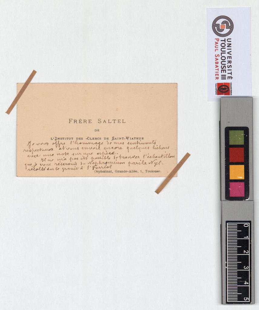 Herbier Saltel