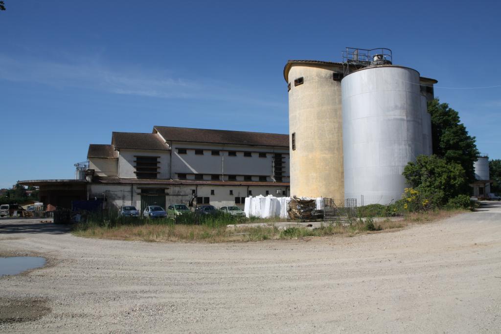 cave coopérative de Fronton