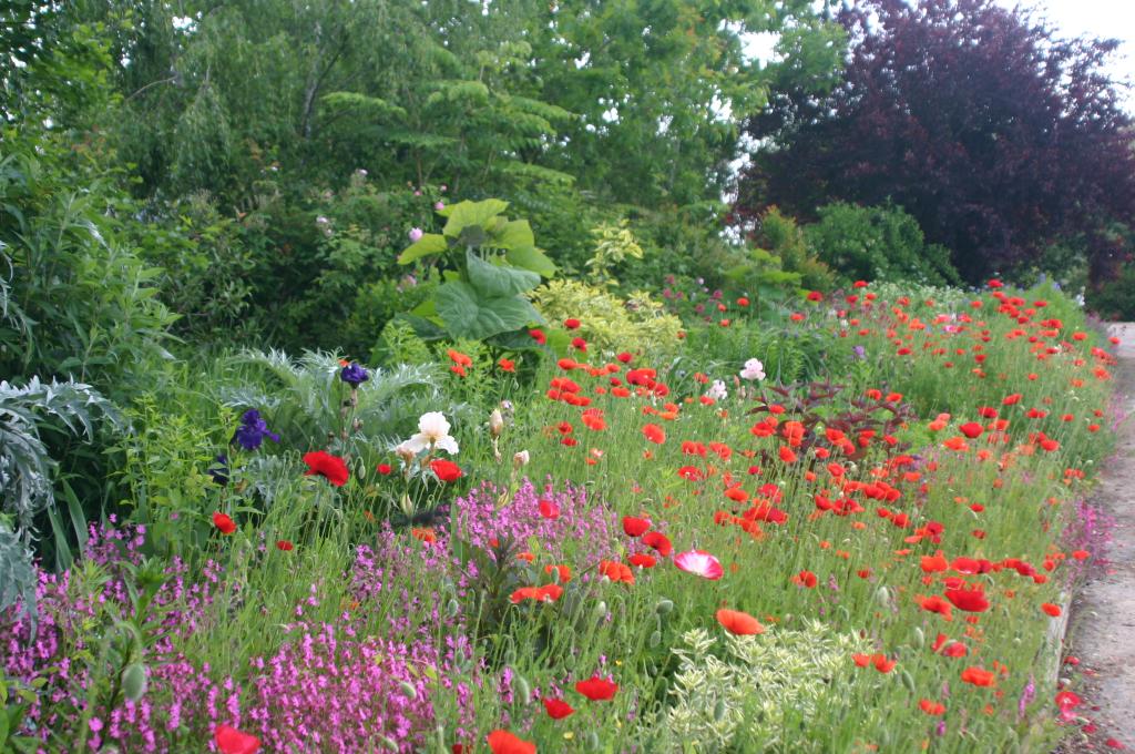 jardin botanique dit Les Martels
