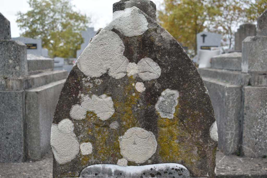 cimetière de la Capelle Saint-Martin