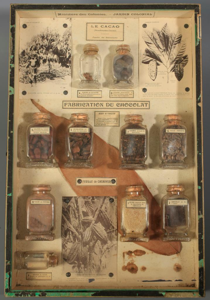 ensemble de 5 boîtes pédagogiques de botanique sur des plantes exotiques