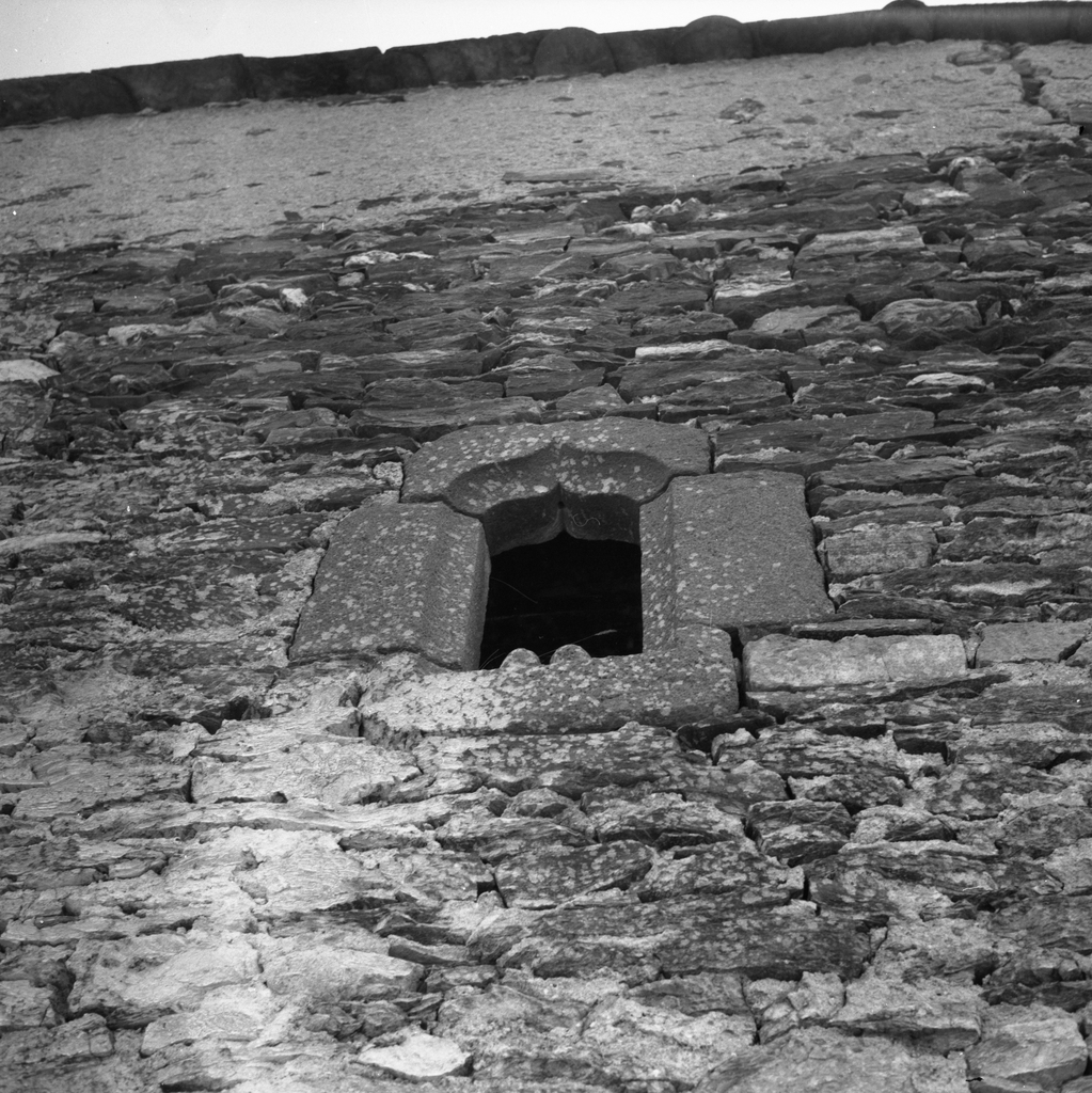 Demeure, dite château du Vergougnous