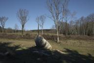 Menhir dit Pierre levée de Picarel