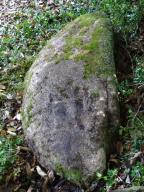 Statue-menhir de la Gruasse 1