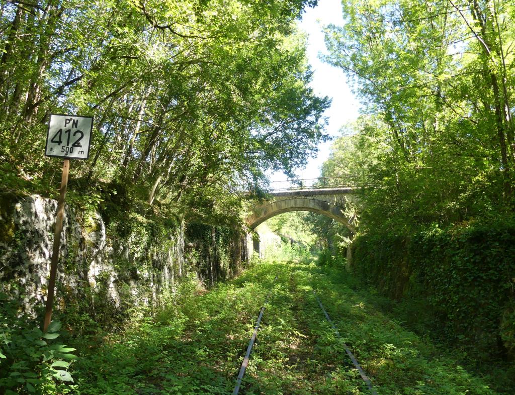 ponceau