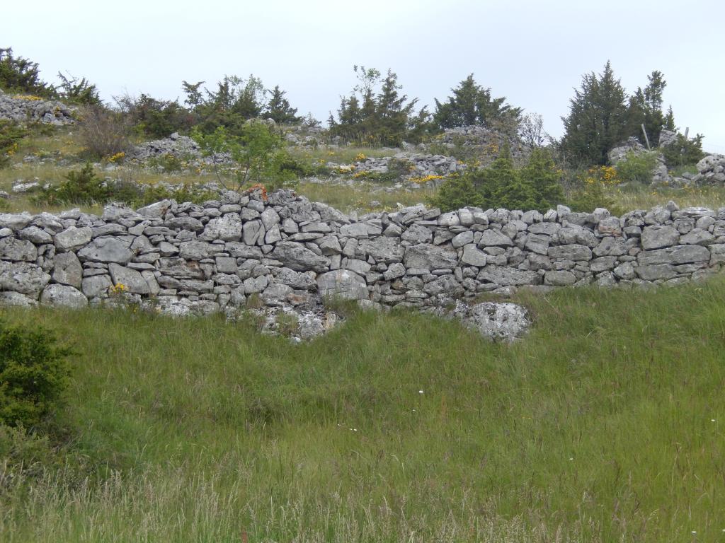 enclos