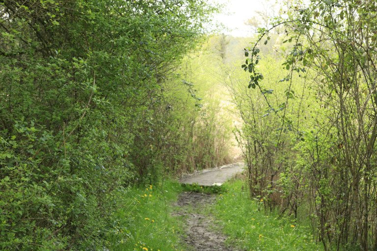 jardin botanique et zoologique, paysage naturel dit Marais de Bonnefont
