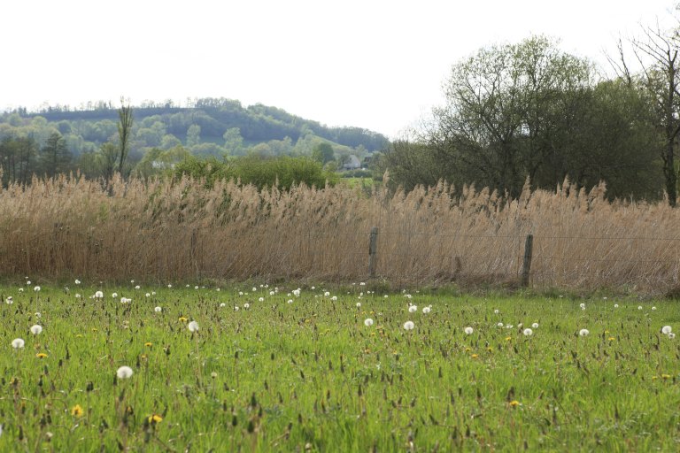 jardin botanique et zoologique, paysage naturel dit Marais de Bonnefont