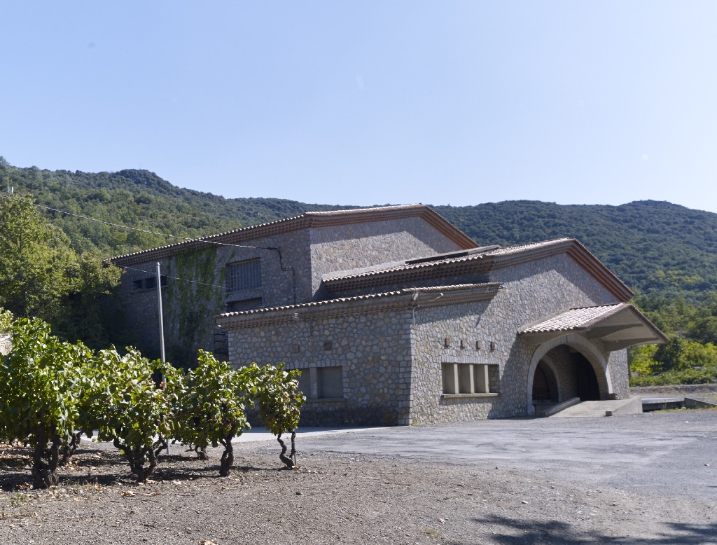coopérative vinicole