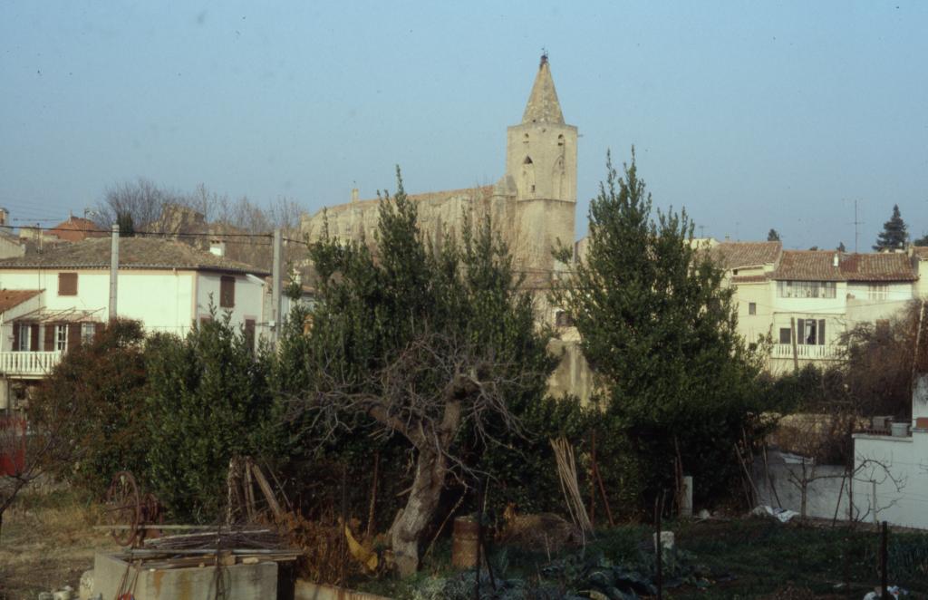 village de Saint-Pargoire