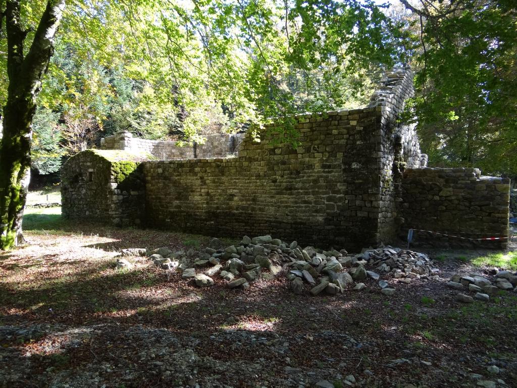 Ruines de l'église Saint-Pierre de l'Espinouse