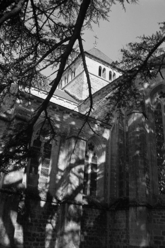 ancienne église conventuelle de cisterciens, actuellement église Notre-Dame de Loc-Dieu