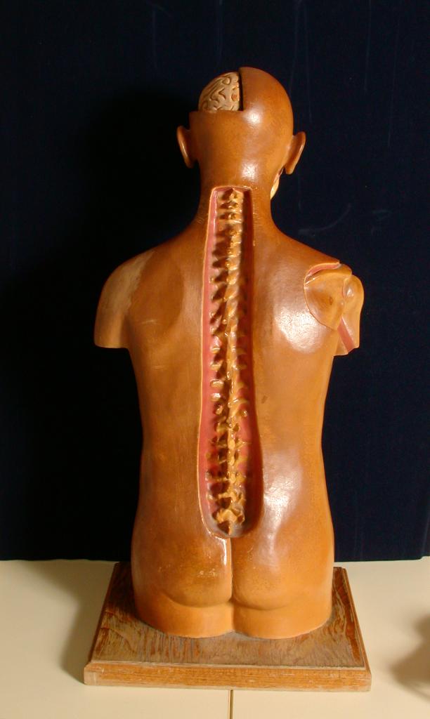 collection d'instruments ou objets pédagogiques