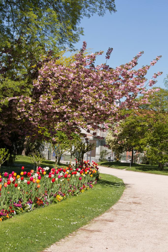 kiosque à musique des allées Leclerc, actuellement au Jardin Massey