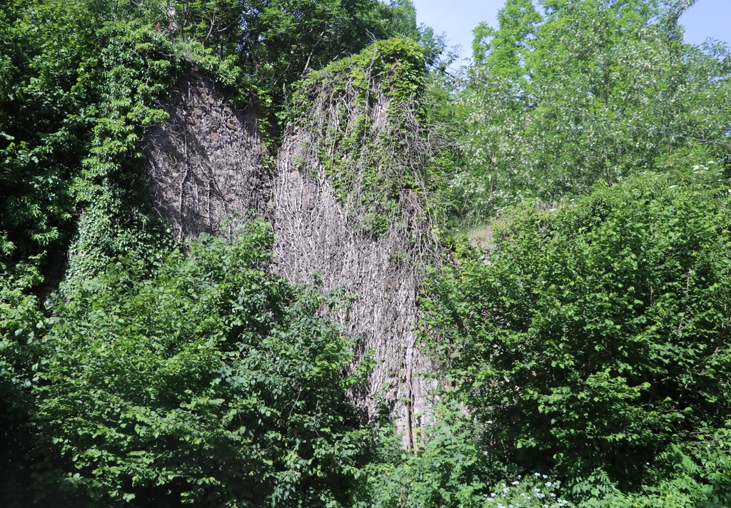 Ensemble des canaux de la commune de Mosset