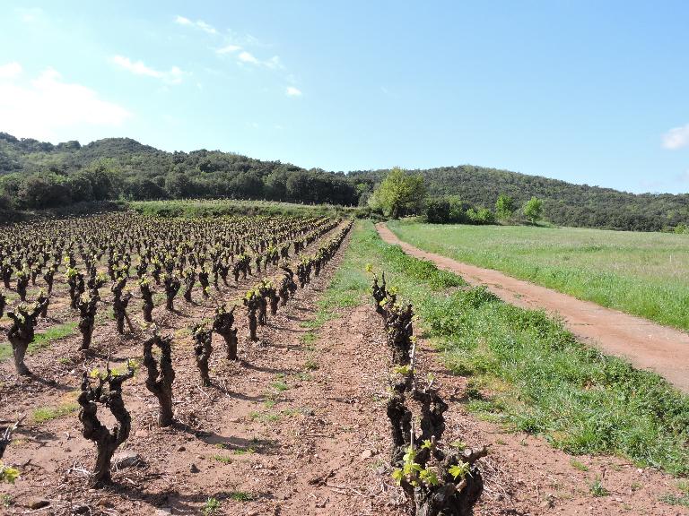écart : hameau de Boubals