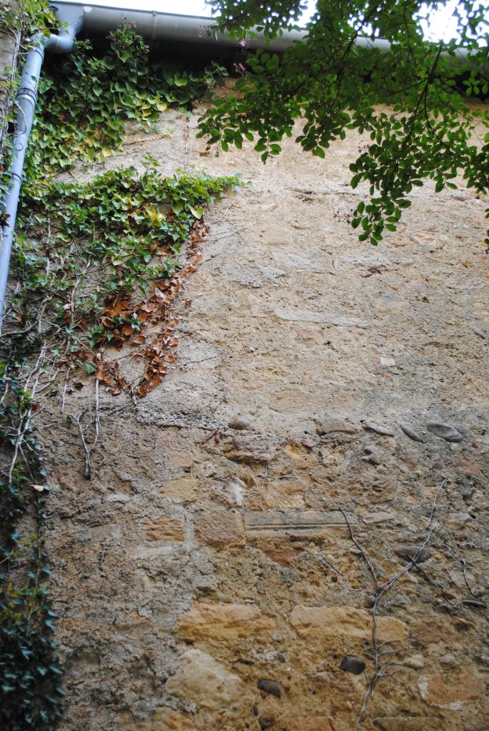 ancienne abbatiale bénédictine actuellement église paroissiale Saint-Pierre