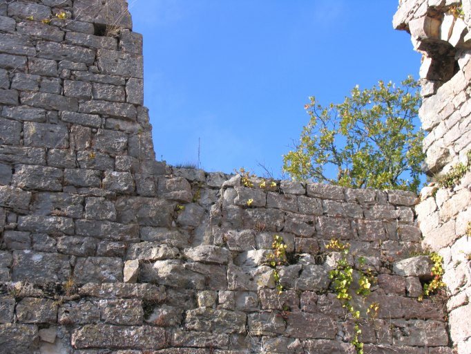 château fort du Bastit (dit aussi de Taillefer)