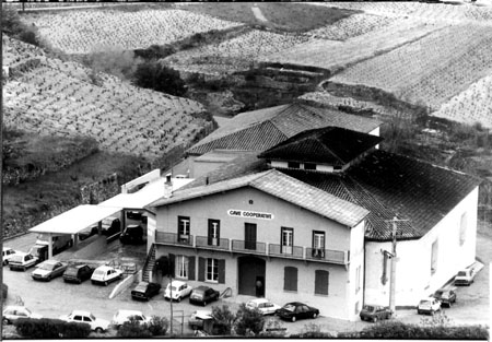 coopérative vinicole de Caramany