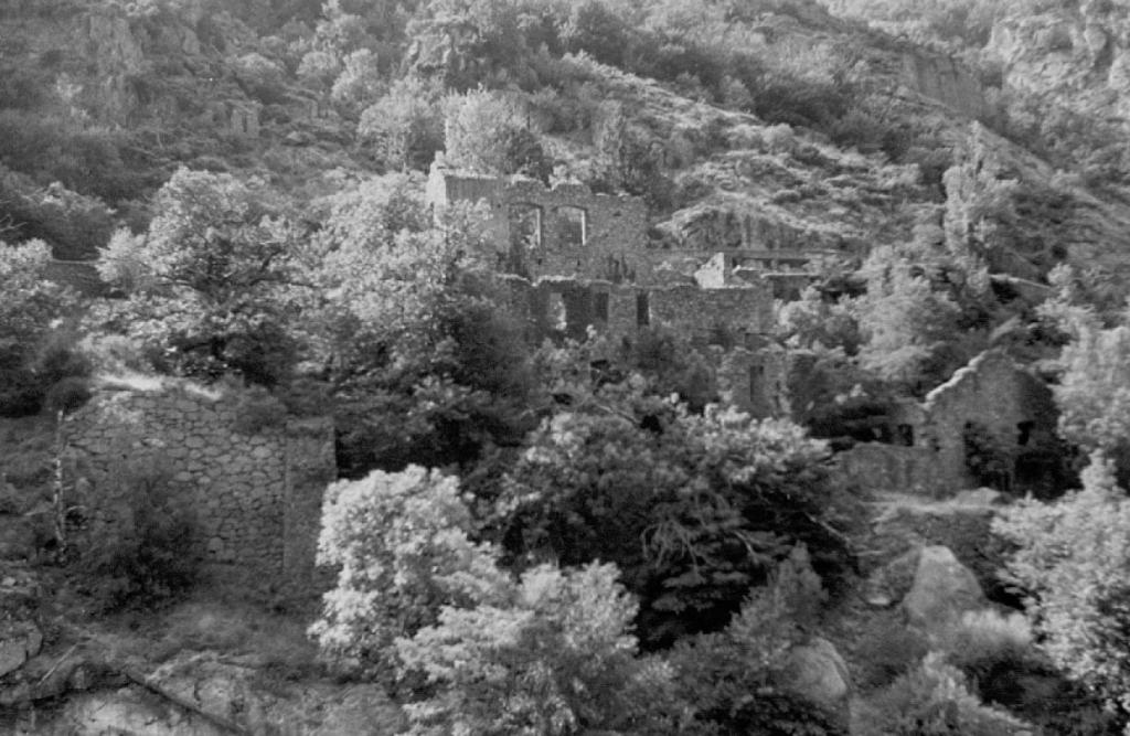 usine de préparation de produit minéral (laverie de minerai de plomb argentifère) dite Laverie des Mines de Génolhac et du Chassezac