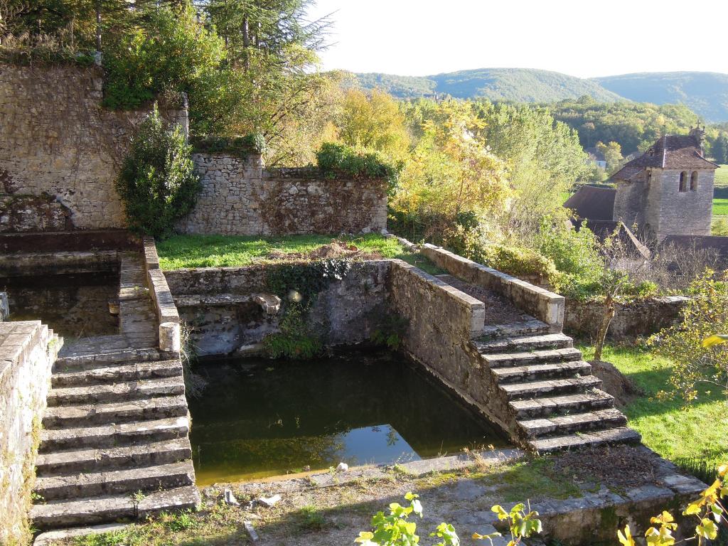 jardin