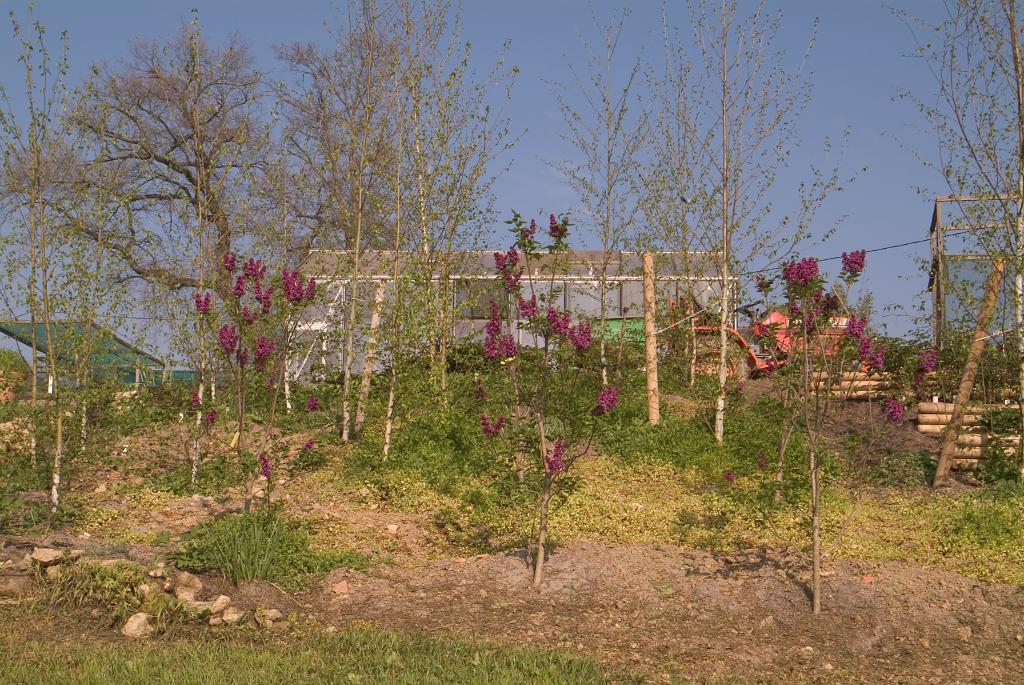 jardin botanique de la Pivoine Bleue