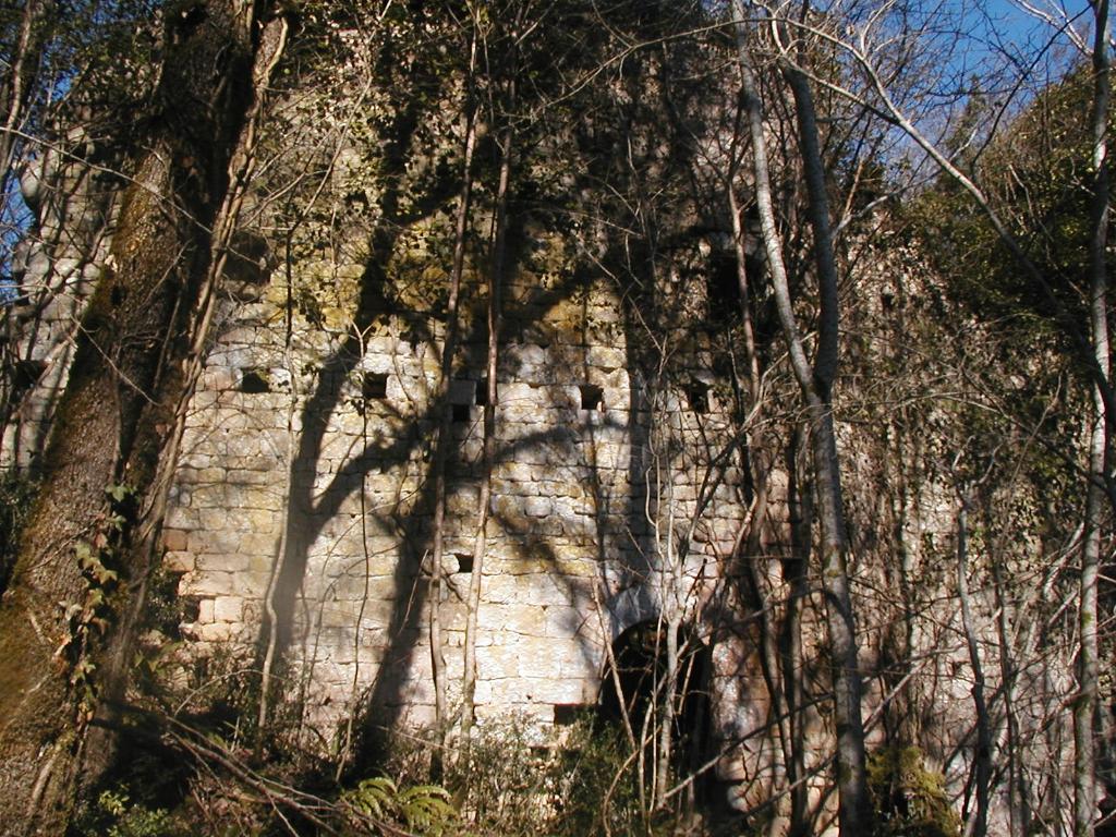 ensemble castral : castrum
