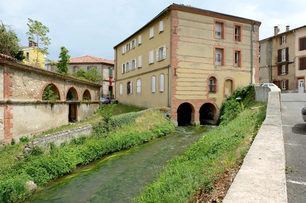 moulin farinier moulin puis usine hydroélectrique puis immeuble à logements