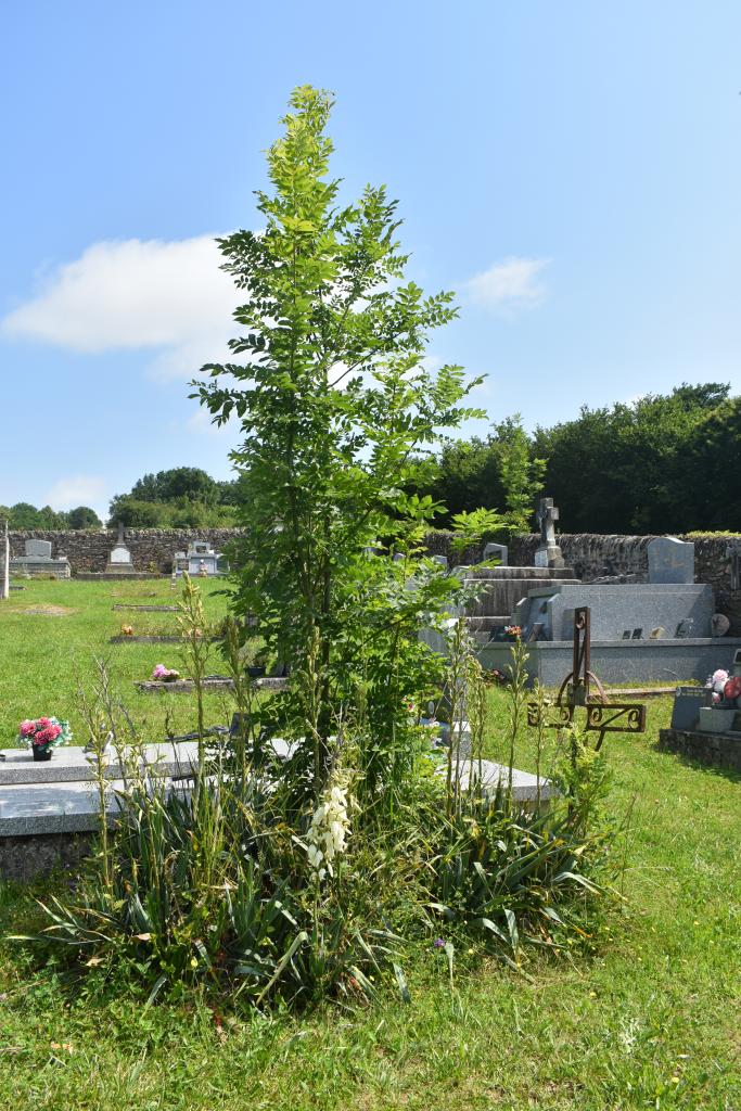 cimetière du Pas