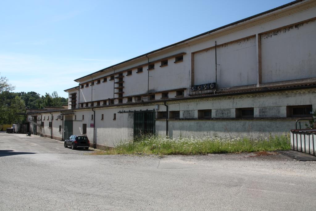 cave coopérative de Fronton
