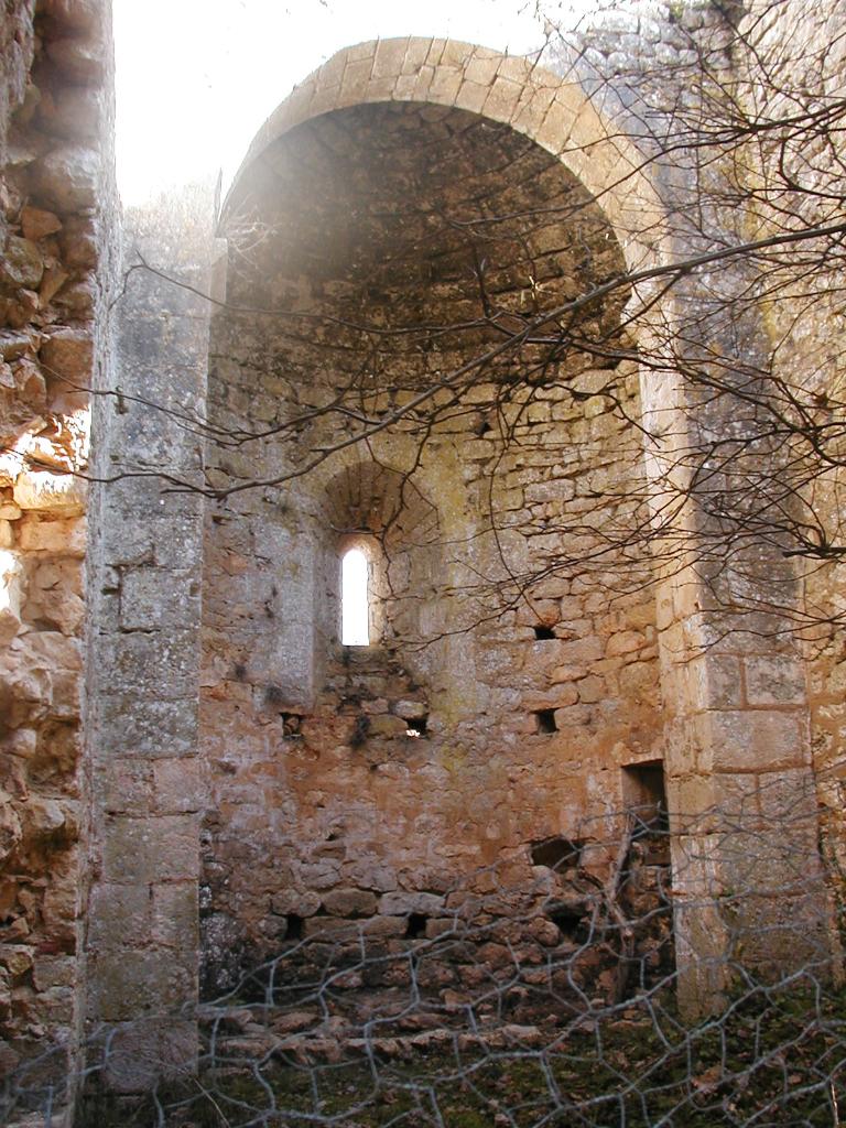 ensemble castral : castrum
