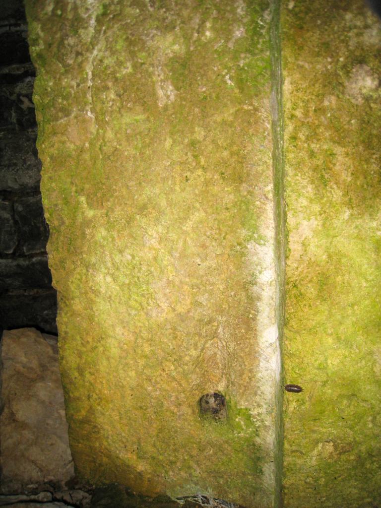 casemate