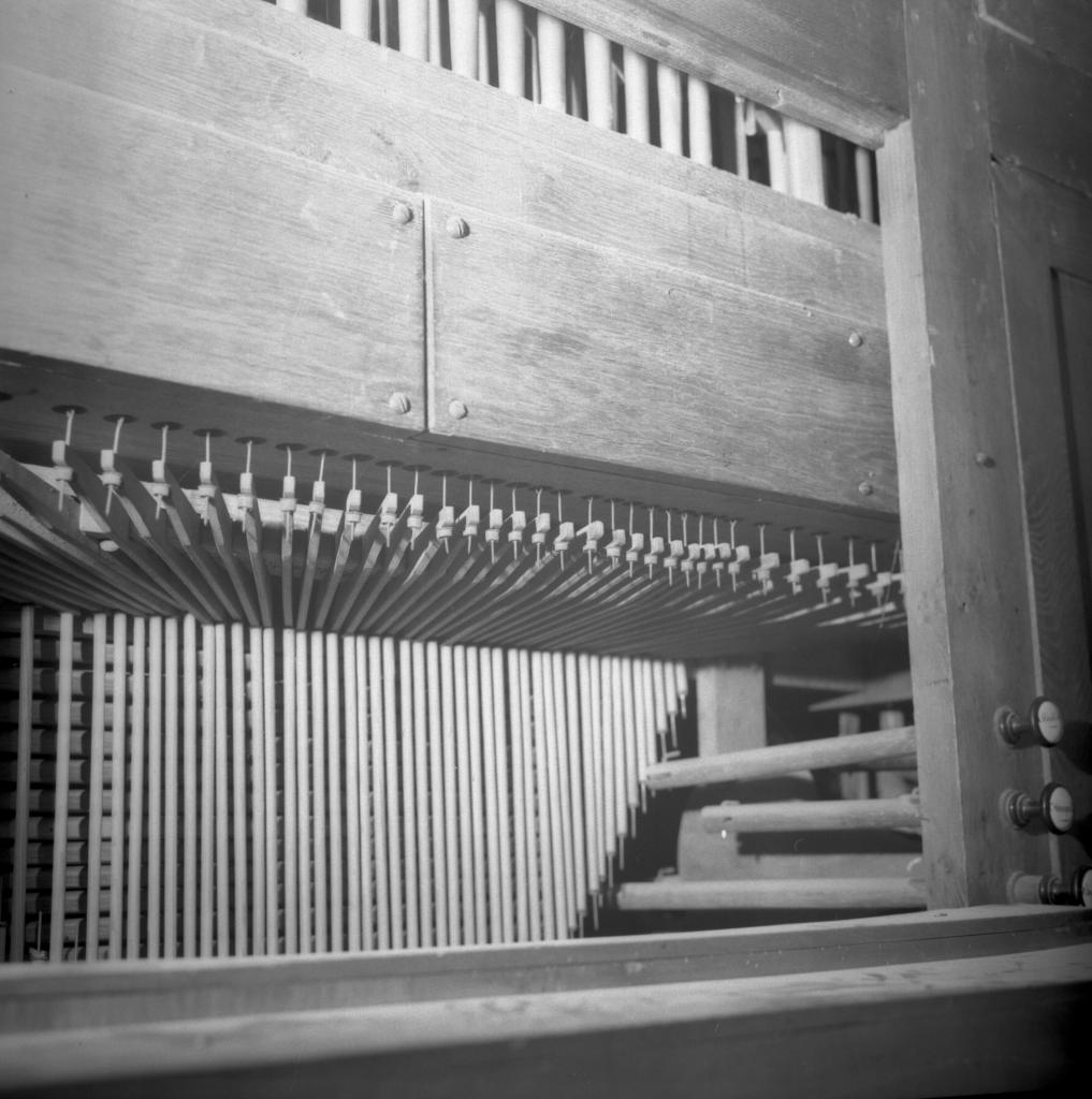 orgue