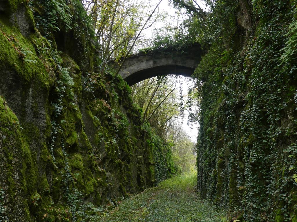 ponceau