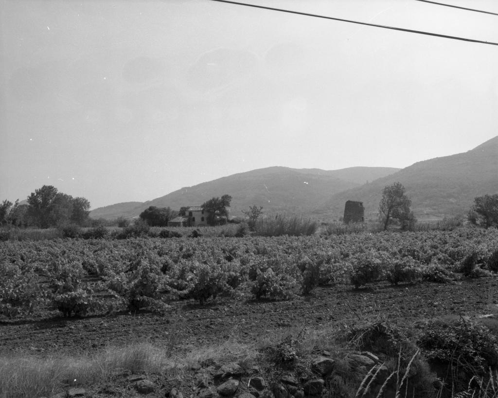 Moulin à vent