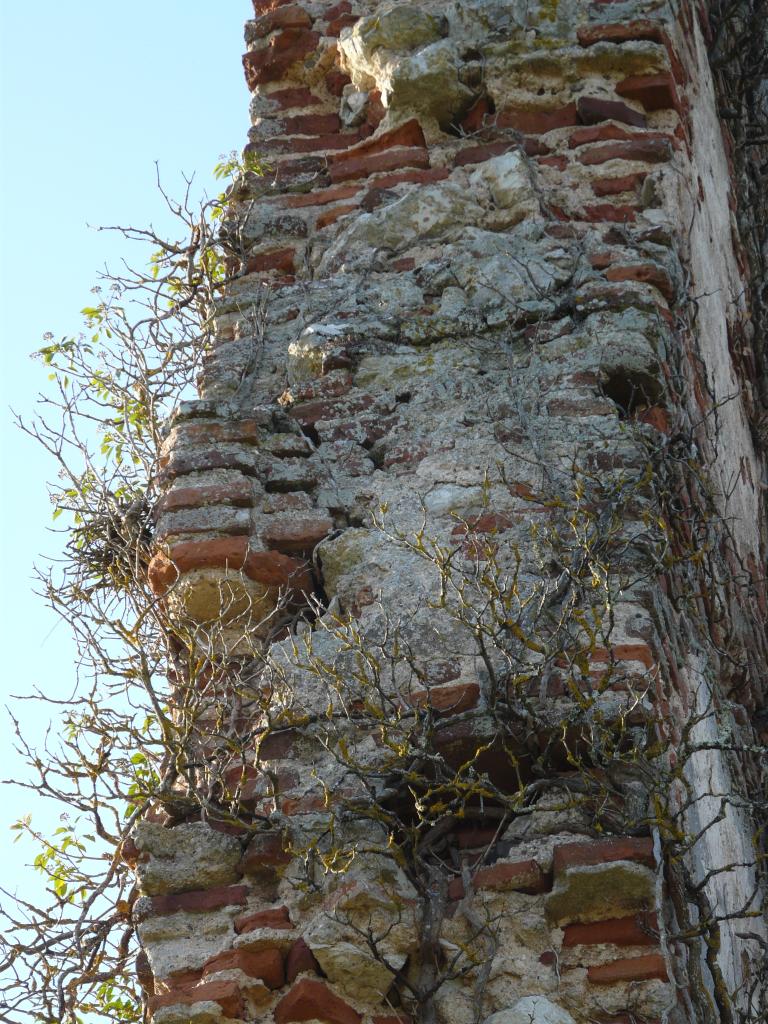 château de Cessac