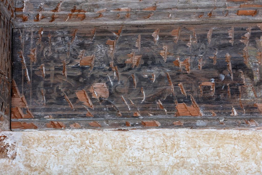ensemble des peintures monumentales du château