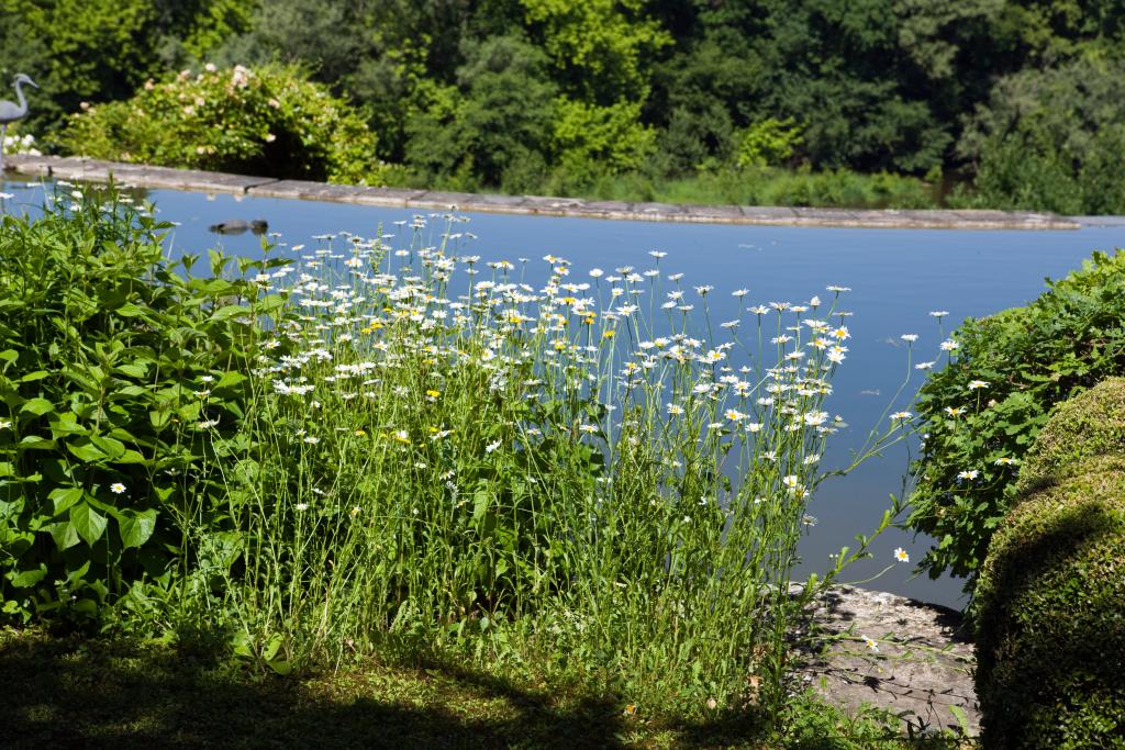 jardin d'agrément dit jardin Bailleul