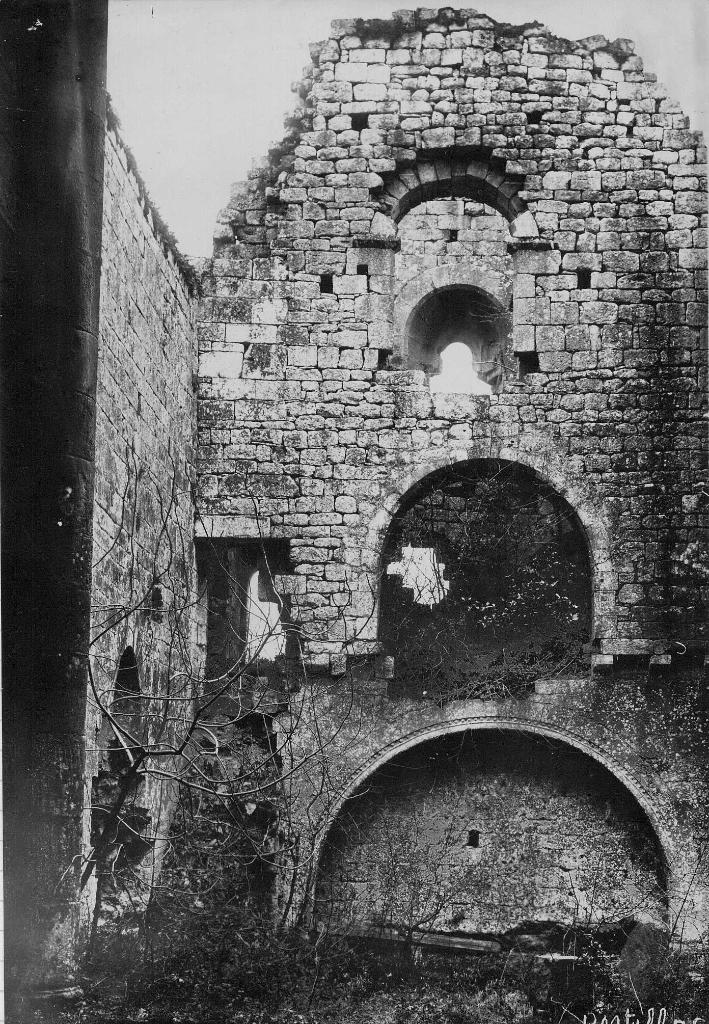 ensemble castral : castrum