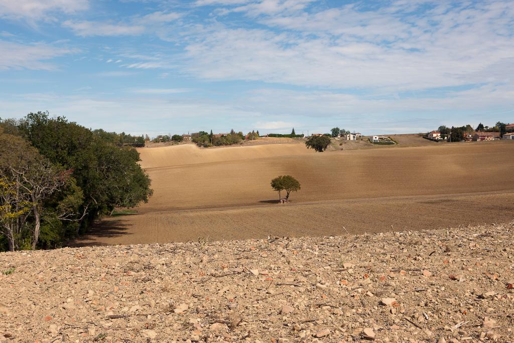 château de Bonrepos