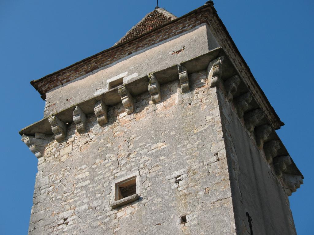 château de Coanac, ou Couanac