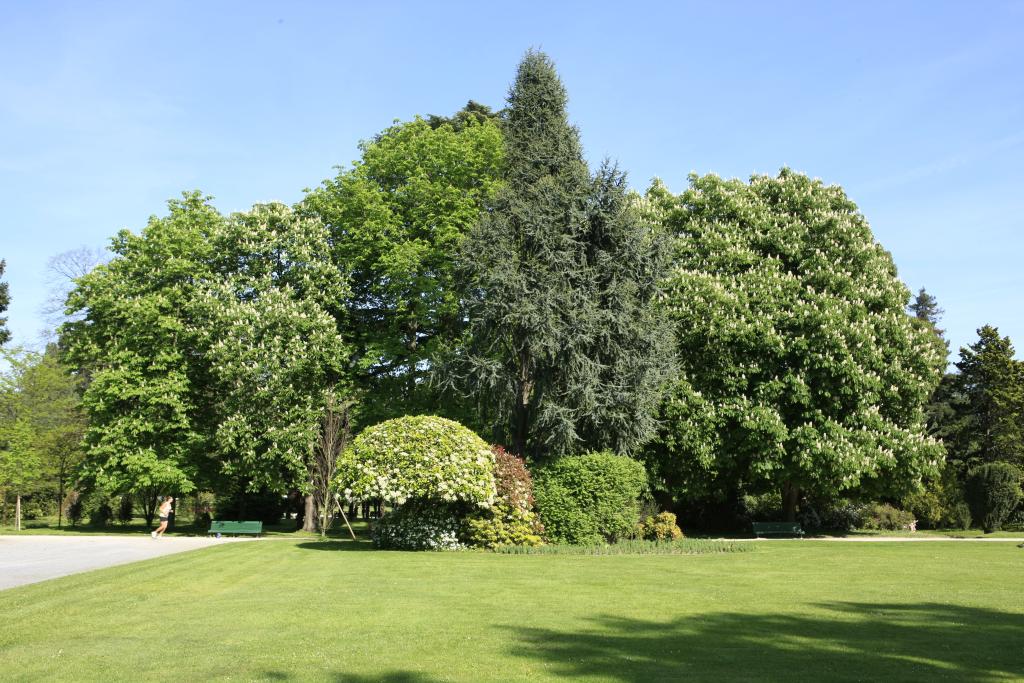 ancien jardin botanique dit Jardin Massey actuellement jardin public