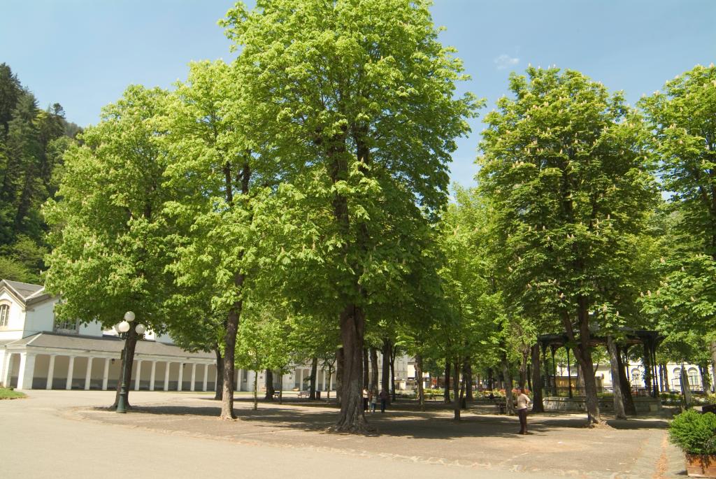 jardin public dit parc thermal des Quinconces