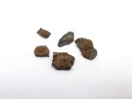 Paléontologie - Chonetes mucronatus (détermination d'origine)